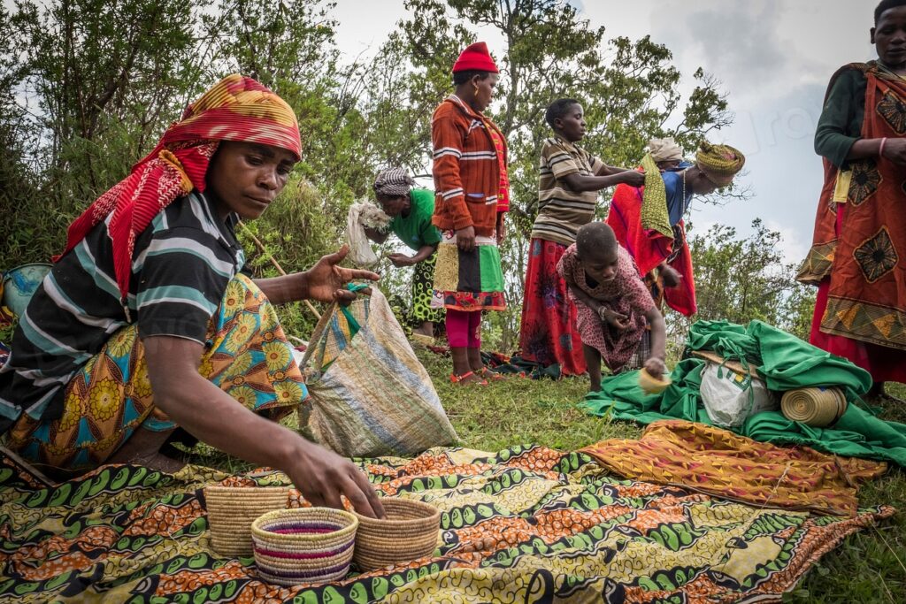 Kibale National Park Best Time to Visit | Uganda