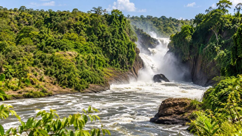 Serengeti National Park Best Time to Visit | Tanzania